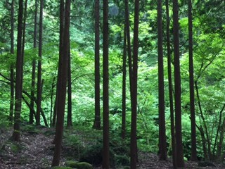 c0051529_2014658.jpg