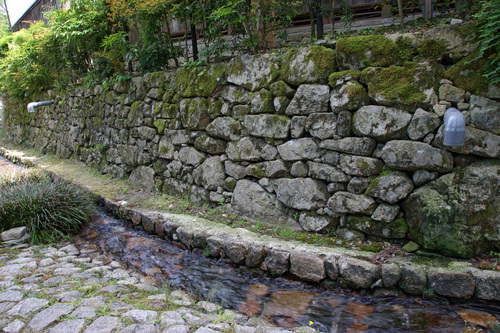 a0277742_1852558.jpg