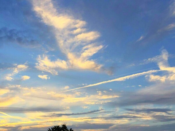 c0292342_15010308.jpg