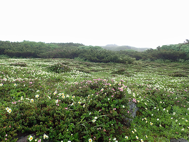 f0214649_4443454.jpg