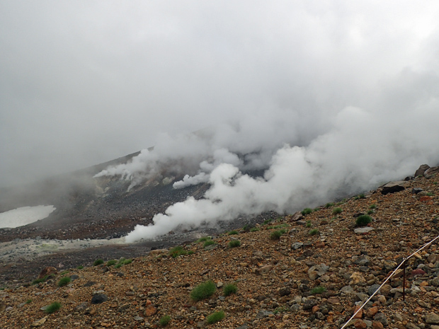 f0214649_510062.jpg