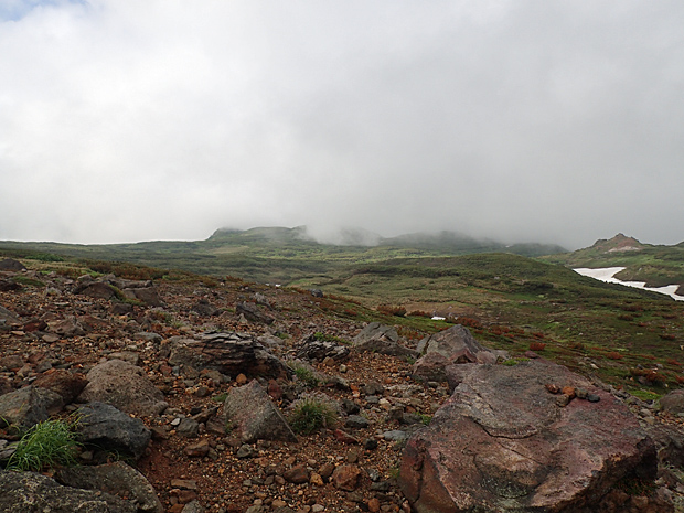 f0214649_554436.jpg
