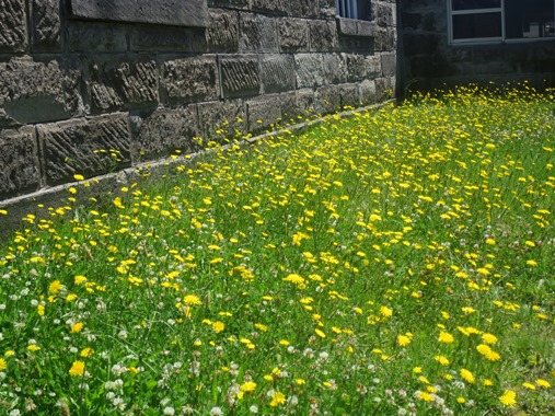 f0202151_20171360.jpg