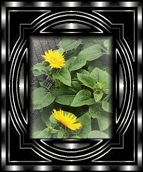 b0133752_0333038.gif