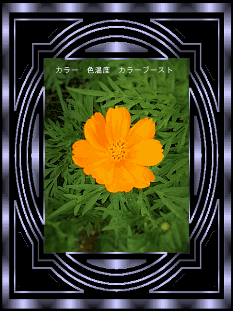 b0133752_11484389.gif