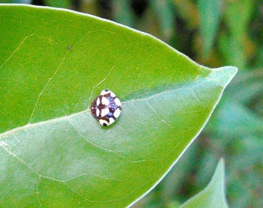 a0018655_11442292.jpg