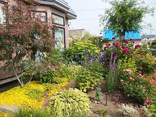 e0004756_224039.jpg