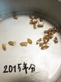b0225561_1851135.jpg