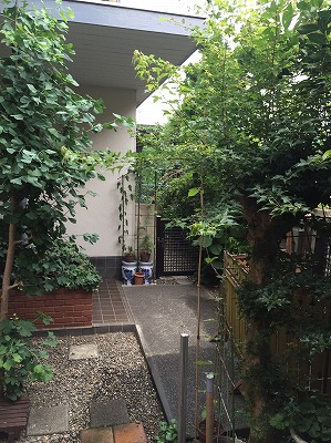 b0145863_17312015.jpg