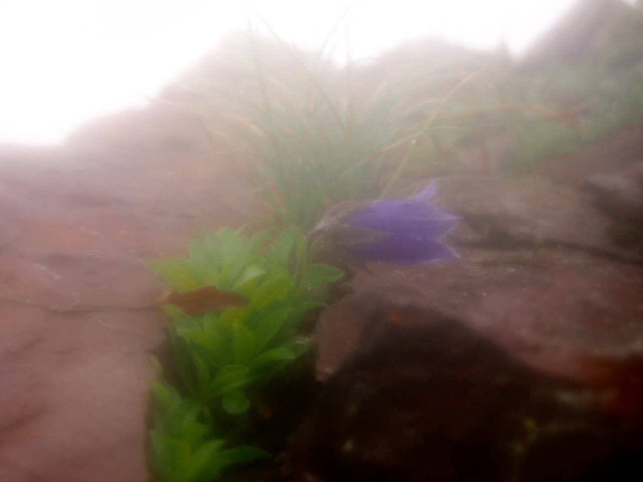 c0321967_20115451.jpeg