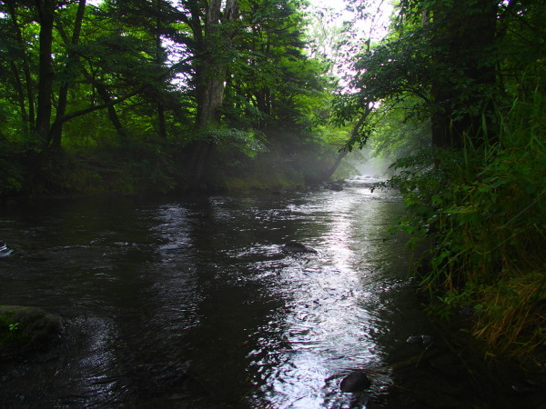 c0122670_07144366.jpg