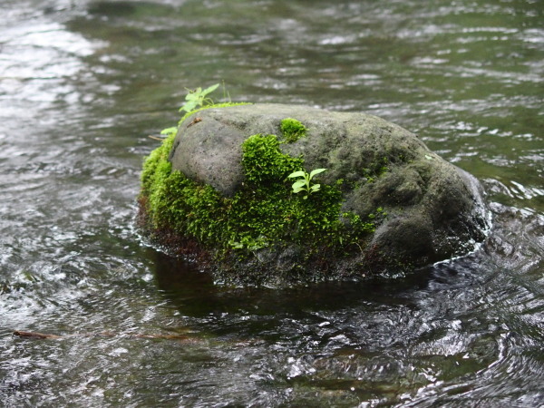 c0122670_07144372.jpg