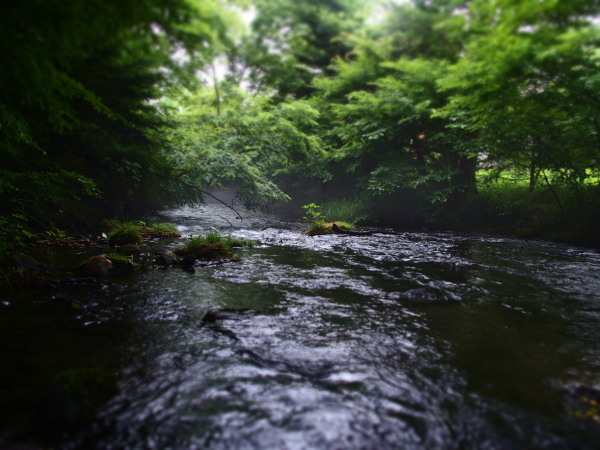 c0122670_07144396.jpg