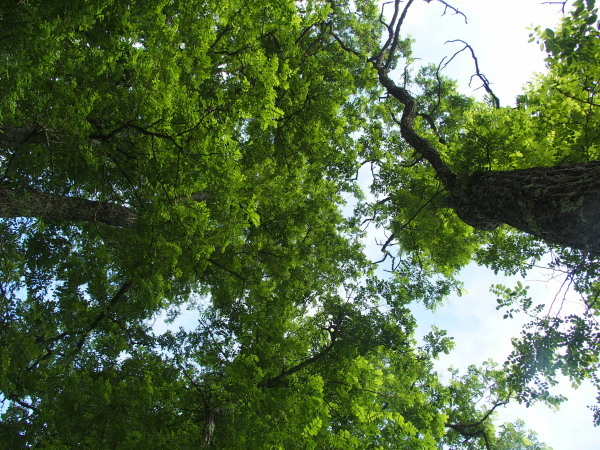 c0122670_07184630.jpg