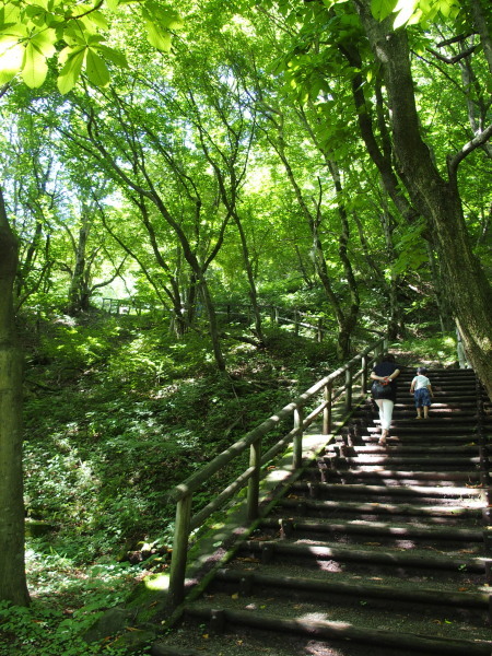 c0122670_22453130.jpg
