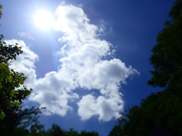 c0122670_22453150.jpg