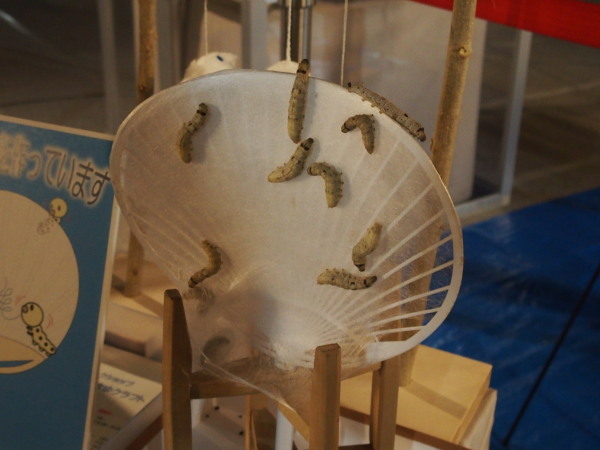 c0122670_23142980.jpg
