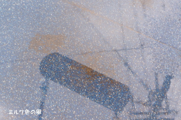 c0368870_16561632.jpg