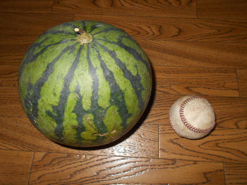 c0329378_09025497.jpg