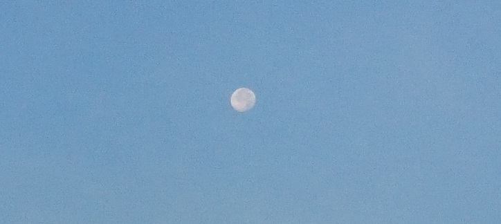 c0363378_15221091.jpg