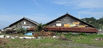f0003283_11221307.jpg