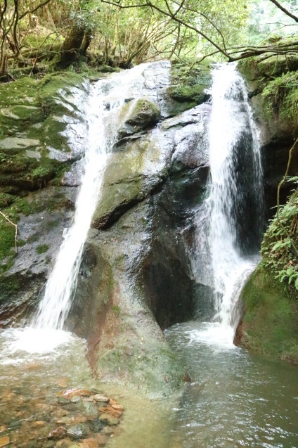 f0131783_22131477.jpg