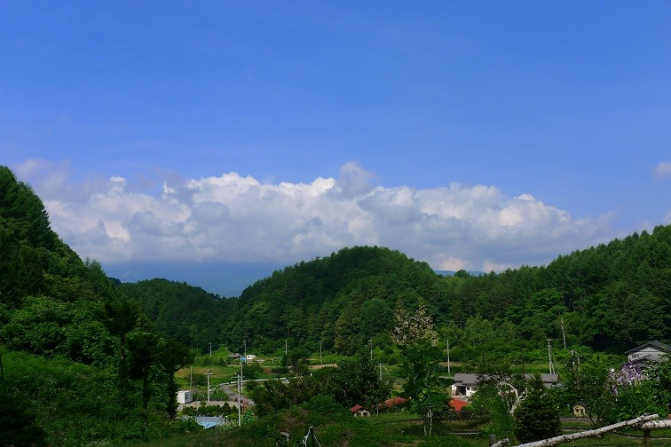 a0130586_9451557.jpg