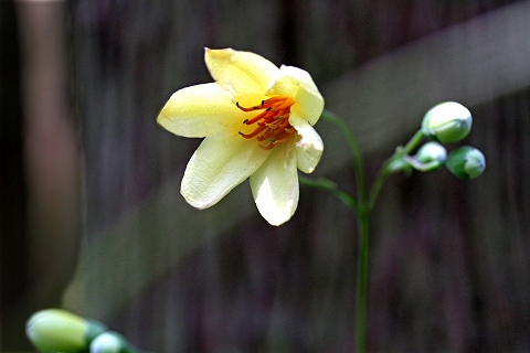 a0222494_10382635.jpg