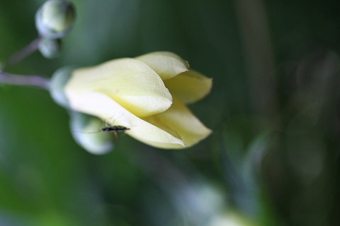a0222494_10384658.jpg