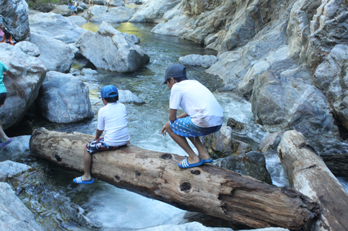c0033994_152654.jpg