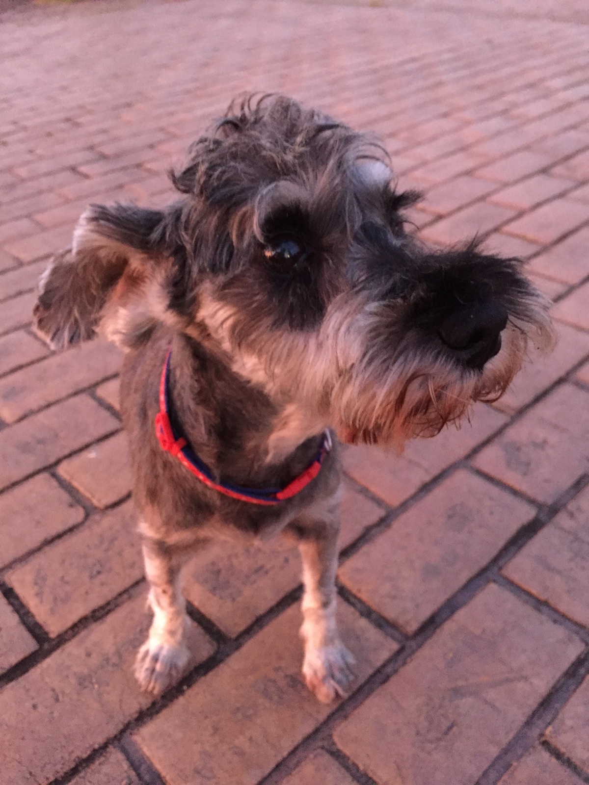 b0188998_22524060.jpeg