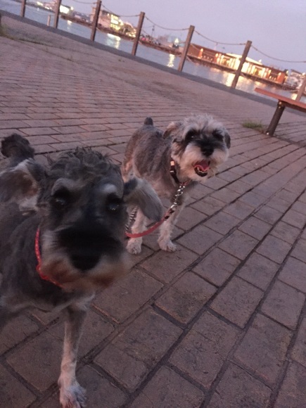 b0188998_22533477.jpeg