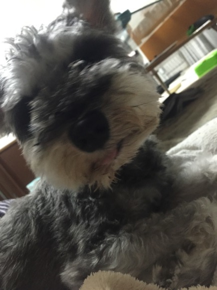 b0188998_23022298.jpeg
