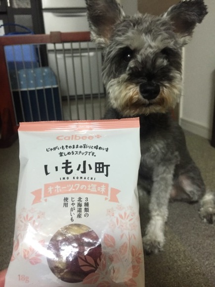 b0188998_23023895.jpeg
