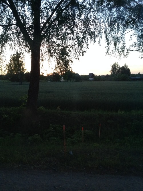 b0101300_15105646.jpg