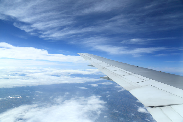f0185802_21374115.jpg