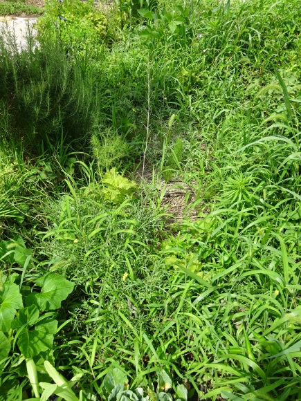 c0369304_23592680.jpg
