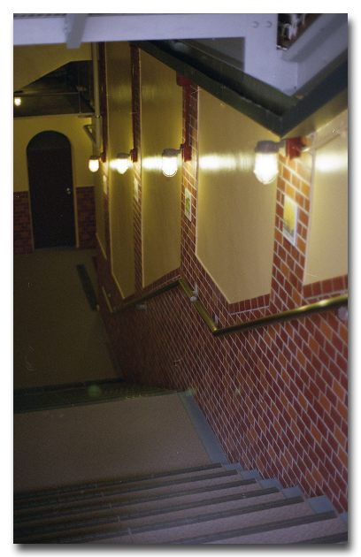 e0175405_852373.jpg