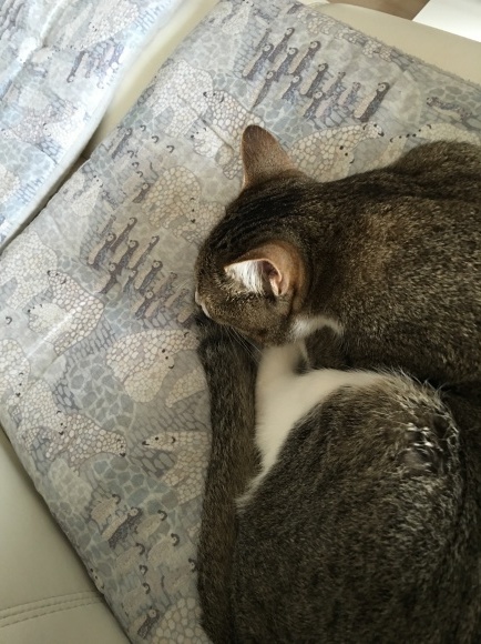 c0109109_16535484.jpeg