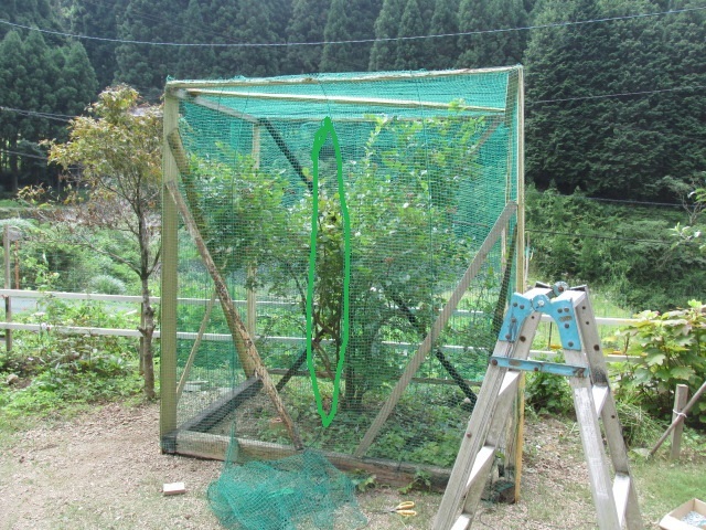 f0341616_15481571.jpg