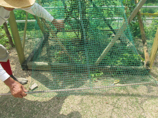 f0341616_15510249.jpg