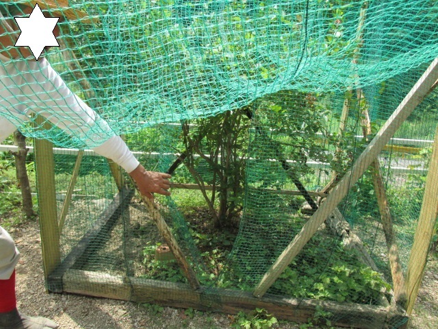 f0341616_15515185.jpg