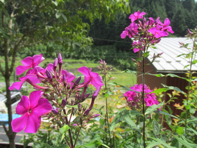 f0341616_16051100.jpg