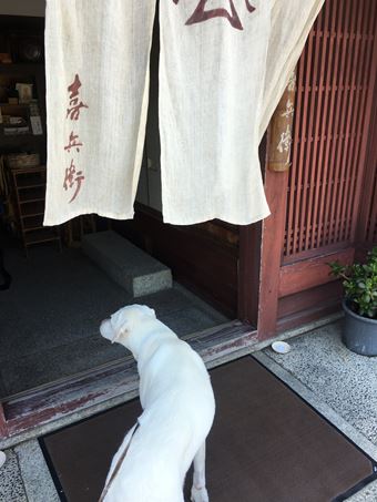 c0114121_2342732.jpg