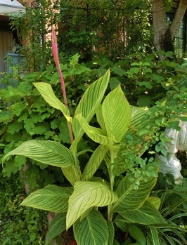 c0204121_6574139.jpg
