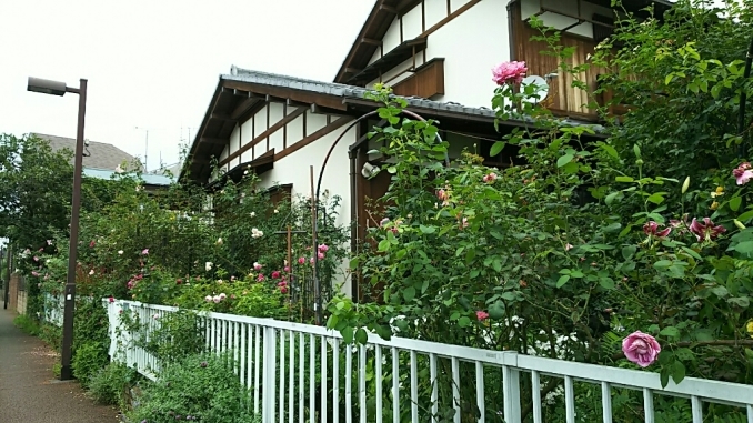 f0106823_23032711.jpg