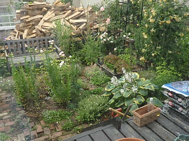 c0137641_1610376.jpg
