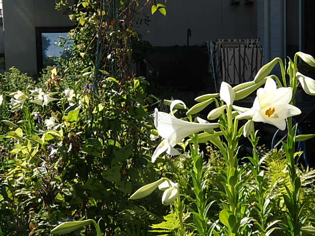 c0137641_1616284.jpg