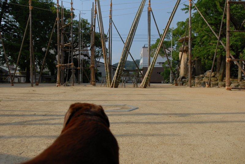 e0354451_11171240.jpg