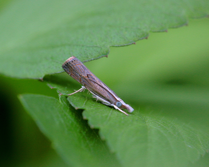 c0305565_18153679.jpg
